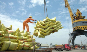 Thủ tướng yêu cầu thanh tra đột xuất xuất khẩu gạo, làm rõ có hay không tiêu cực