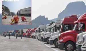 5 loại nông sản xuất khẩu tăng mạnh nhất tháng 3