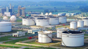 Giá dầu thế giới xuống thấp nhất lịch sử, PVN có nhập dự trữ?