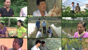 VTC 16 - Dấu ấn chương trình khởi nghiệp