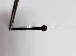 Con đỉa ký sinh 10 ngày trong mũi người phụ nữ ở Quảng Nam