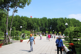 Cà Mau mở cửa đón khách du lịch ngoài tỉnh từ 29/4