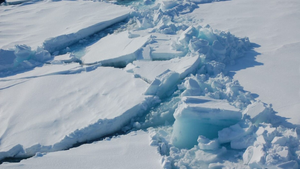 Chấn động: Bắc Cực có thể sẽ không còn băng trước năm 2050