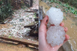 Video: Mưa đá to bằng nắm tay tàn phá nhà cửa, hoa màu ở Cao Bằng