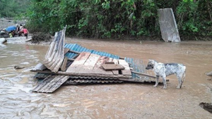 Giông lốc, mưa lũ tàn phá các tỉnh miền núi và trung du Bắc Bộ