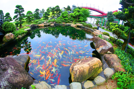 Ngắm những góc ảnh đẹp mê mẩn tại Sun World Halong Complex để 'hết dịch là đi'