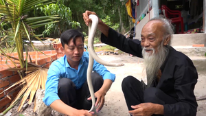 Cụ ông ở An Giang nuôi 'bạch xà' làm thú cưng