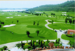 Có cho chuyển đất lúa, đất rừng làm sân golf?