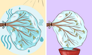 10 kỹ năng sinh tồn dân phượt cần biết