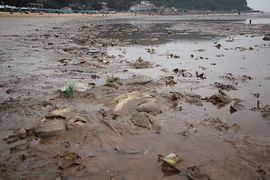 Rác thải 'bức tử' bãi tắm Đồ Sơn trong dịp nghỉ lễ 30/4-1/5