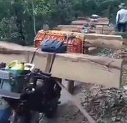 Phá rừng quy mô lớn tại Kon Tum: Tỉnh chỉ đạo điều tra, xử lý nghiêm