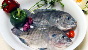 Suýt mất mạng vì ăn gỏi cá rô phi nhiễm độc 'tả biển'