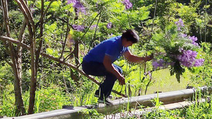 Tìm ra người đàn ông bẻ hoa trái phép phản cảm ở Đà Lạt