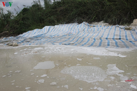 Bột trắng “vô chủ” xuất hiện ven hồ Thác Bà, Yên Bái