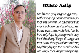 Chữ Việt Nam song song 4.0 xôn xao dư luận: Thiếu khả thi