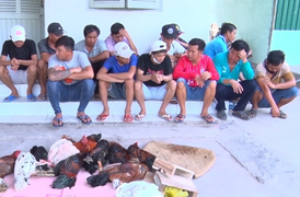 Gần 100 con bạc say sưa lắc tài xỉu, đá gà ăn tiền tại khu đất trống ở An Giang