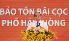 Thủ tướng: Bãi cọc Cao Quỳ là nguồn sử liệu vật chất vô giá