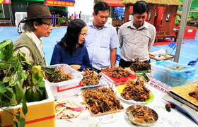 Sau 1 tháng tạm hoãn vì dịch COVID-19, chợ sâm lần thứ 31 thu về 3,8 tỷ đồng