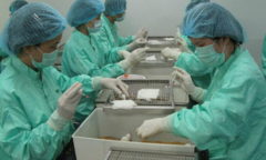 Giới khoa học Việt Nam tìm giải pháp phát triển nhanh vaccine COVID-19