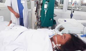 Ăn phải nấm độc, 3 người trong gia đình nguy kịch