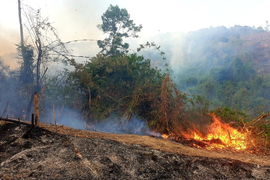 Dân đốt thực bì, hơn 10 ha rừng Quảng Nam bị thiêu rụi