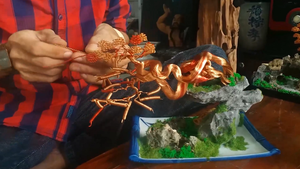 Chàng trai biến dây đồng thành bonsai đẹp như thật
