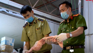 Cận cảnh hơn 6 tấn chân gà, tim lợn không rõ nguồn gốc bị thu giữ ở Hà Nội