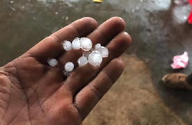 'Mưa vàng' trút xuống Đắk Lắk sau nhiều ngày nắng hạn, nông dân vừa mừng vừa lo