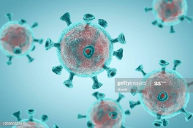 WHO: SARS-CoV-2 chỉ có thể bắt nguồn từ khu chợ hải sản ở Vũ Hán