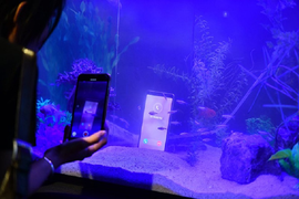 Cận cảnh Bphone B86 ngâm mình trong nước 30 phút