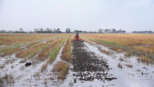 Nông dân thi nhau bán đất mặt ruộng ở Bạc Liêu