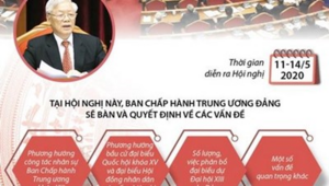 Infographic: Những nội dung quan trọng của Hội nghị 12 Ban Chấp hành TW Đảng