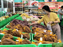 MM Mega Market Việt Nam đặt mục tiêu xuất khẩu 6000 tấn nông sản trong năm 2020