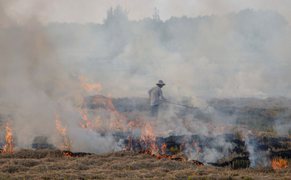 Video: Dân đốt rơm rạ, khói bao trùm thành phố Huế