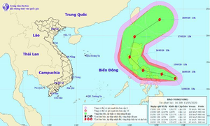 Biển Đông xuất hiện cơn bão giật cấp 11