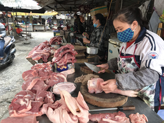 Thủ tướng: Đưa giá lợn hơi về mức 60.000 đồng/kg ngay trong tháng 5