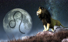 Tử vi ngày 14/5 của 12 cung hoàng đạo: Sư Tử sẽ tìm được chân ái 