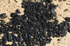 Nửa cây số bờ biển Quảng Ngãi xuất hiện chất lạ nghi hắc ín