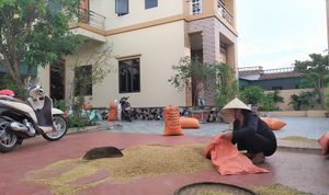 Nhà 2 tầng, đi xe SH vẫn là hộ cận nghèo hưởng gói hỗ trợ 62.000 tỷ đồng