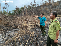Truy tìm kẻ phá hơn 3,5 ha rừng tại Đắk Lắk