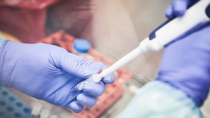 Ngày thứ 31 Việt Nam không có ca nhiễm virus corona trong cộng đồng