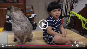 Bị cún cưng dỗi không thèm 'nói chuyện', em bé khóc mếu