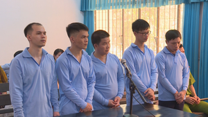 Thuê xe ô tô rồi làm giả giấy tờ để cầm cố, chiếm đoạt hơn 1,5 tỷ đồng