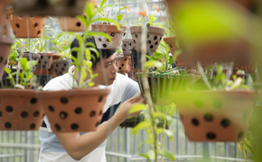 Câu chuyện về ông chủ vườn Phong Lan Phi Điệp đột biến tại Bình Phước