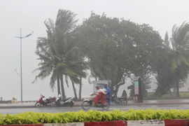 Năm 2020, bão mạnh sẽ xuất hiện nhiều hơn