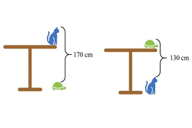 Bài toán lớp 5 bạn thân gửi Albert Einstein, bạn có làm được?