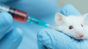 Việt Nam thử nghiệm thành công vaccine COVID-19 trên chuột