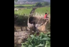 Màn trượt ngã liên hoàn hài không đỡ nổi của trai làng