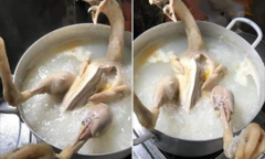 Món cháo gà gây 'hết hồn'