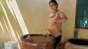 Dân xã đảo ở Quảng Nam lao đao vì nước ngầm nhiễm phèn